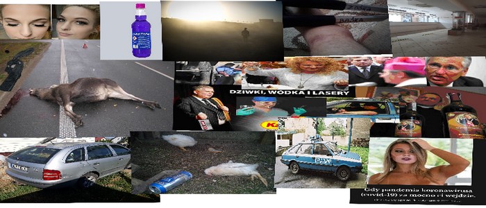 opowieści z psychodelicznego lasu